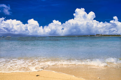 Beautiful coral reef sea in okinawa