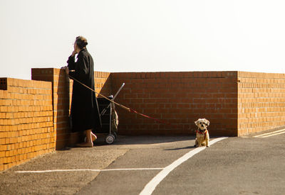 Side view of woman holding leash with on road during sunny day