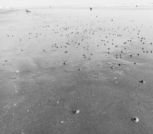 High angle view of wet beach