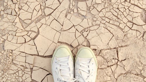 Low section of man standing on cracked land