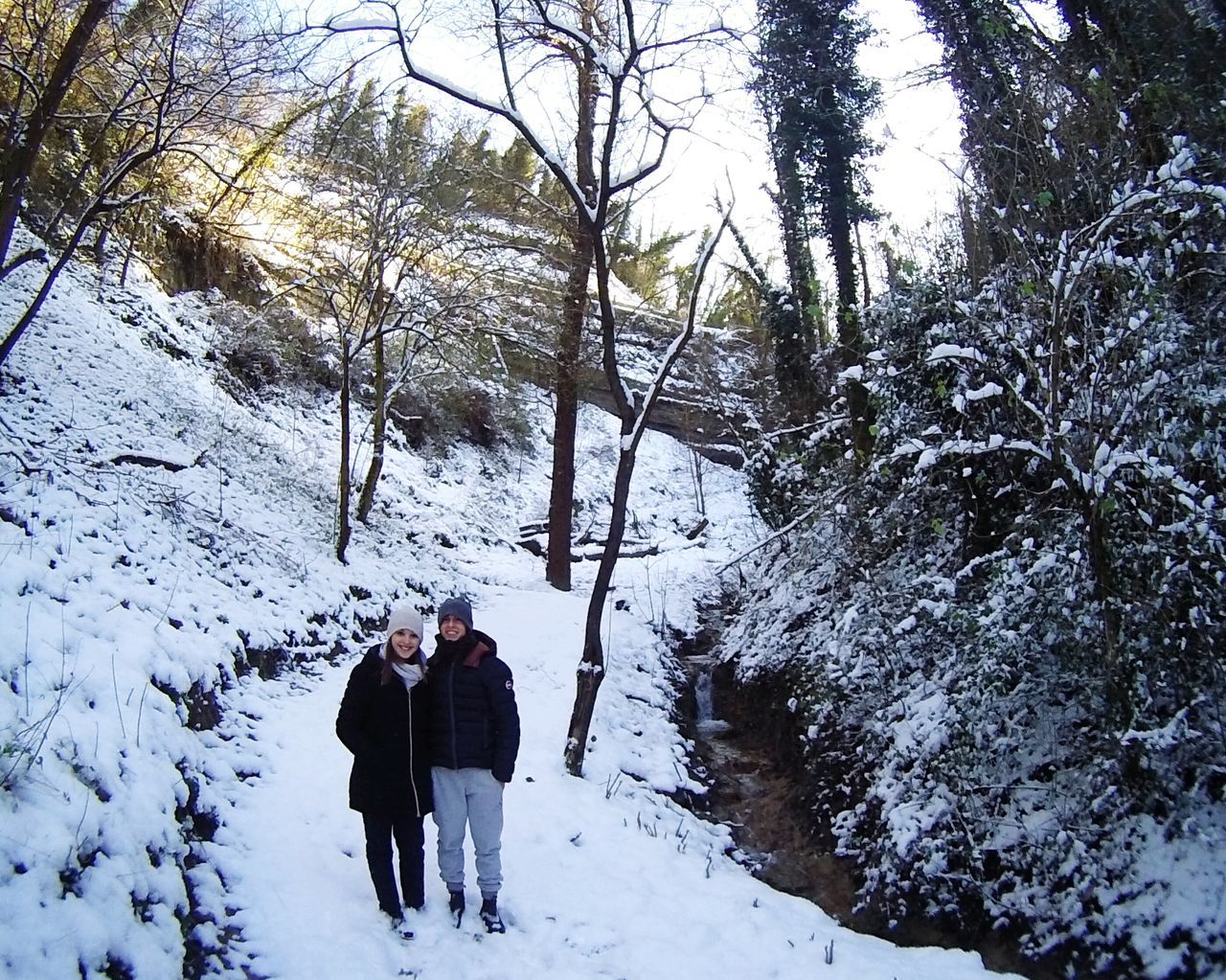 snow, winter, cold temperature, season, weather, lifestyles, rear view, leisure activity, full length, men, warm clothing, tree, walking, covering, nature, tranquil scene, standing