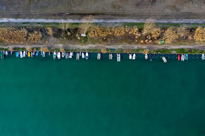 Group of people on beach