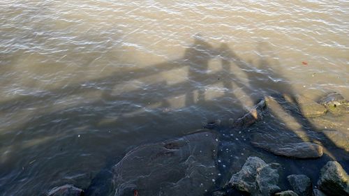 Waves in sea