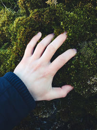 Close-up of hand on grass