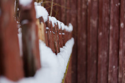 Close-up of wooden wall