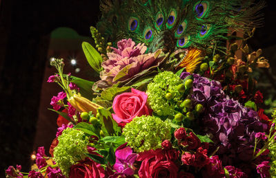 Close-up of multi colored flowers