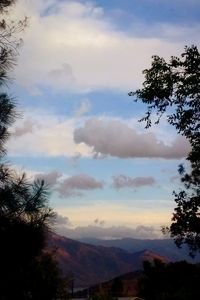 Low angle view of tree mountain against sky