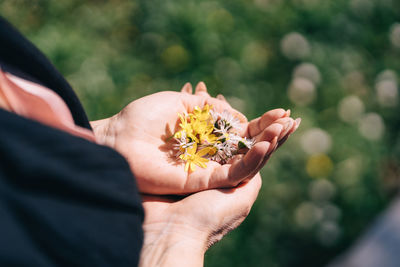 Midsection of woman holding flowers