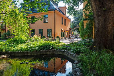 House by lake against trees and plants