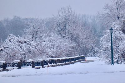 Snow covered field by trees during winter