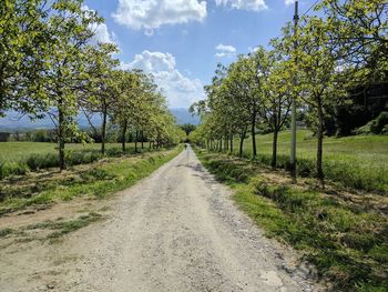 Road amidst field against sky