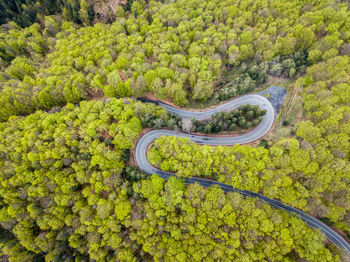 High angle view of road amidst trees