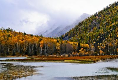wilderness