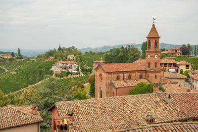 View of serralunga d'alba church with vineyards, piemonte, langhe wine district