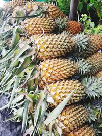 Close-up of fruits for sale in market