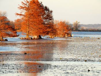 Scenic view of lake during winter