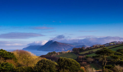 Scenic view of trees and mountains against sky