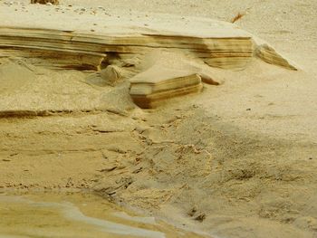 Close-up of insect on sand