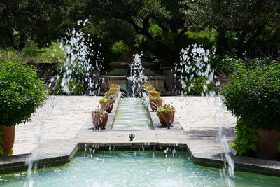 Fountain and potted plants in park