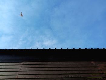 Low angle view of birds flying against sky