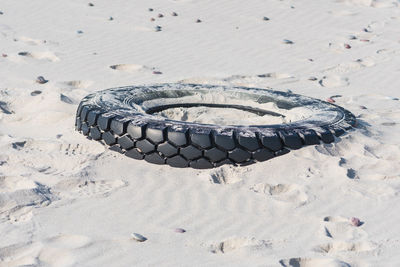 High angle view of zebra on sand