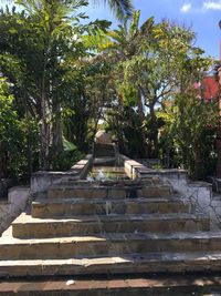 Steps and trees against sky