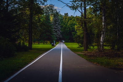 Empty road along trees