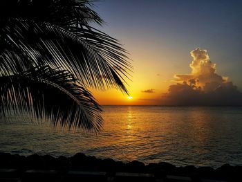 Silhouette palm tree by sea against sky at sunset