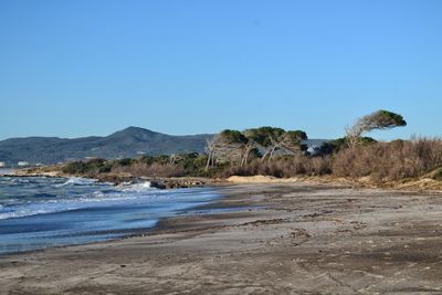 Scenic view of beach against clear blue sky