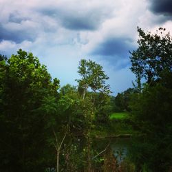 Trees on landscape against cloudy sky