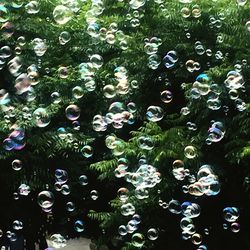 Full frame shot of bubbles in water