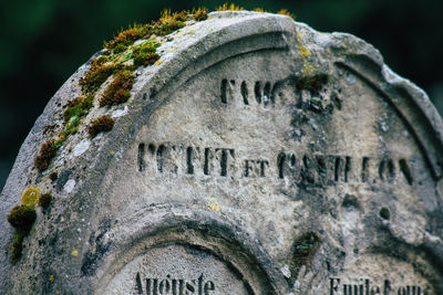 Close-up of cross in cemetery