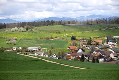 Scenic view of agricultural field by houses against sky