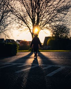 Rear view of silhouette man walking on road at sunset