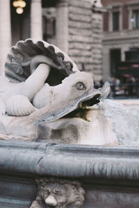 Close-up of fish statue