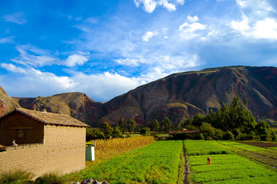 Scenic view of agricultural landscape against sky