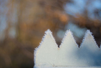 Close-up of frozen water