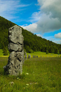Stone wall on field against sky
