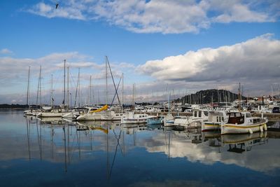 Sailboats moored on harbor against sky