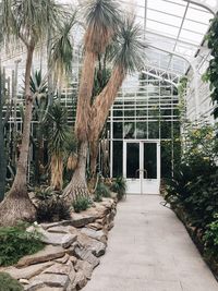 View of greenhouse