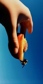 Close-up of hand holding ice cream against blue sky
