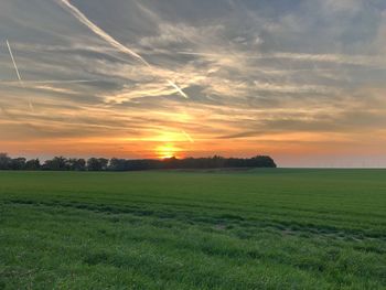 Scenic view of field against sky during sunset