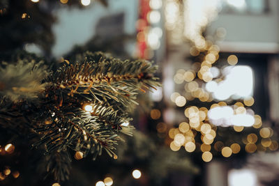 Golden decorative christmas decorations and and spruce branches. festive mood. beautiful bokeh 