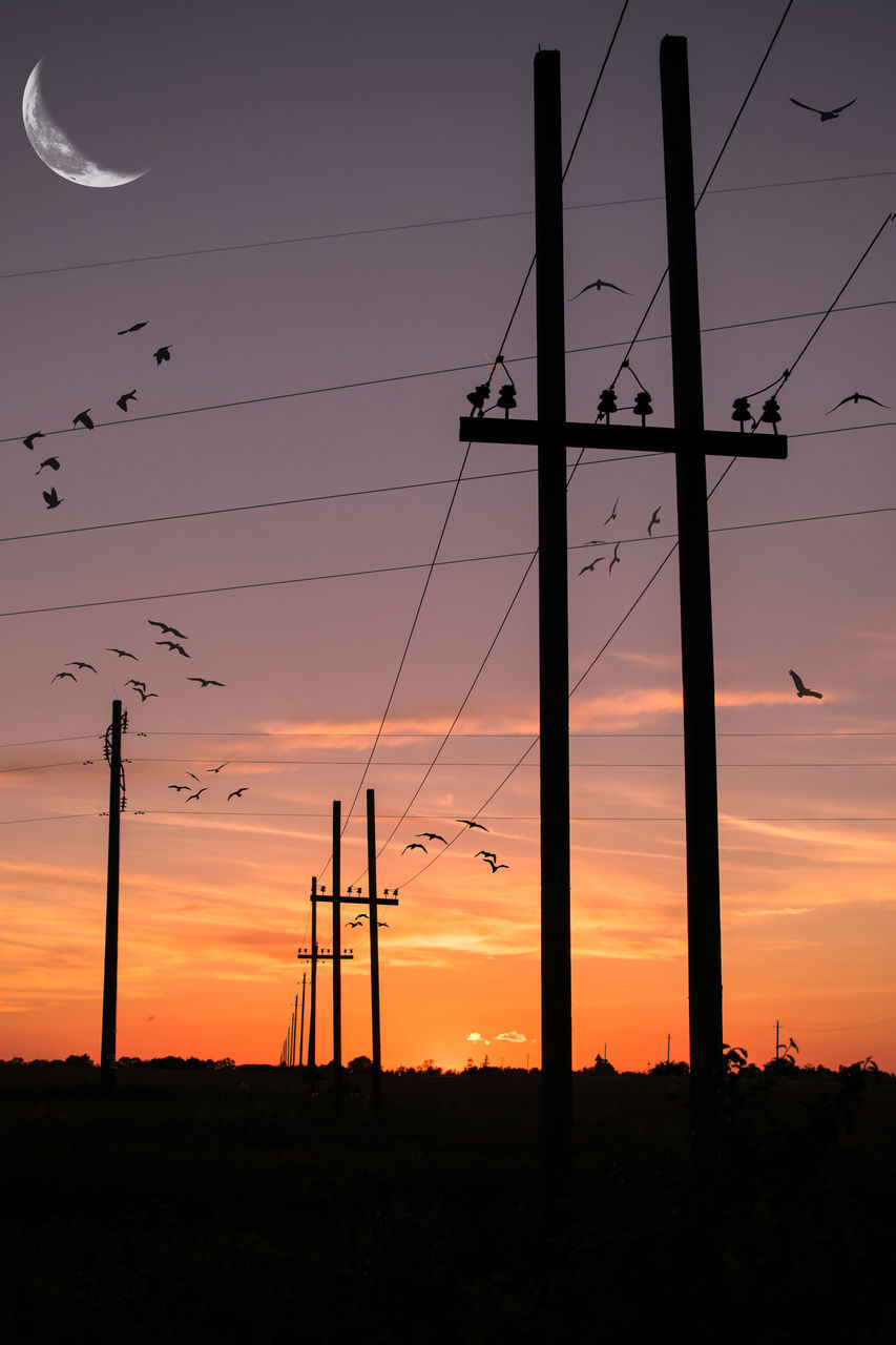 sunset, silhouette, orange color, cable, sky, fuel and power generation, power line, nature, no people, connection, scenics, power supply, electricity pylon, electricity, technology, bird, tranquil scene, outdoors, beauty in nature, landscape, tree, telephone line, animal themes