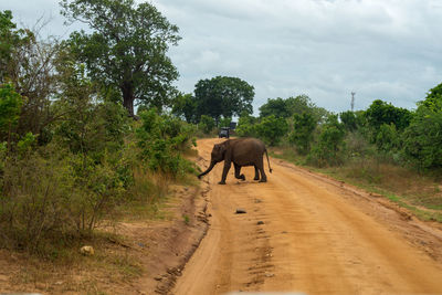 View of people walking on dirt road