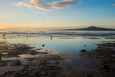 Scenic view of sea during sunset