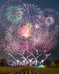 Low angle view of firework display at night