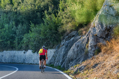 Rear view of man riding bicycle on road