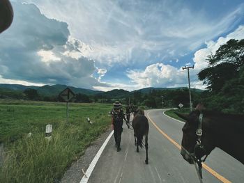 View of people riding horse on road