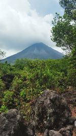 Scenic view of landscape against cloudy sky